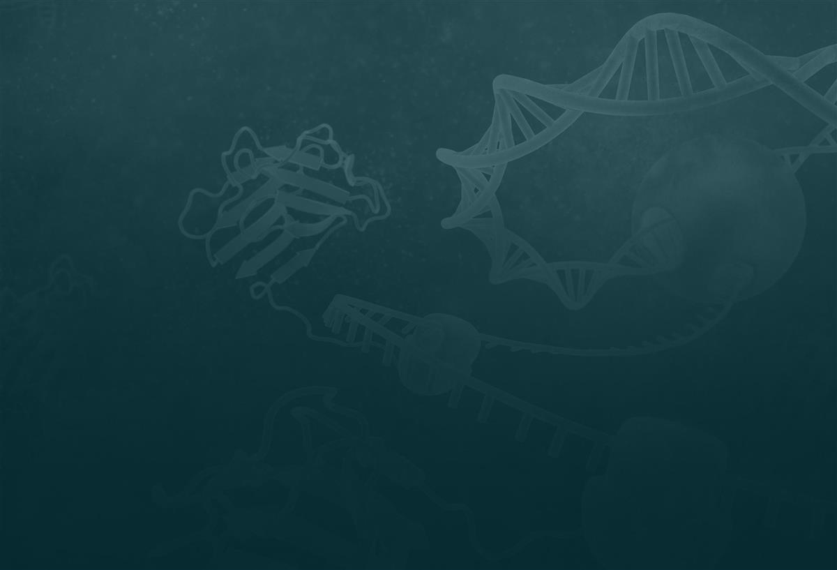 DNA- og RNA-kvantifisering