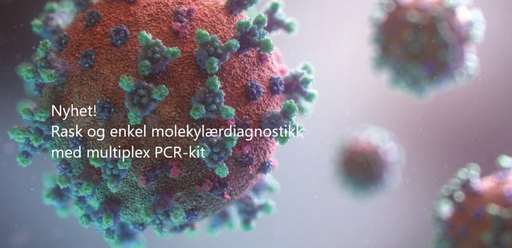 Multiplex PCR-kit for deteksjon av virus og bakterier