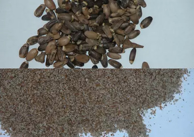 1200x850px-spices.webp