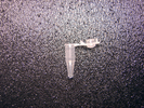 Safe-lock reaction vials 0.2 ml
1000 pieces
