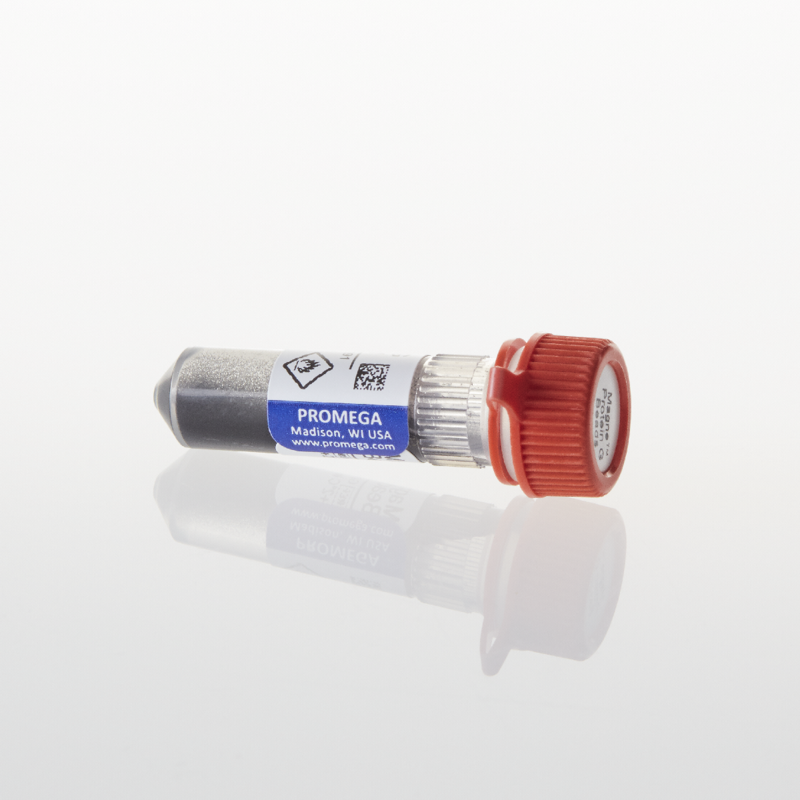 Magnesteps Magne Protein G Beads, 20% Slurry Nerliens Meszansky AS