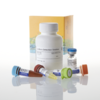 Lactate-Glo Assay