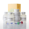 GTPase-Glo Assay