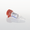 pFN2K (GST) Flexi Vector
