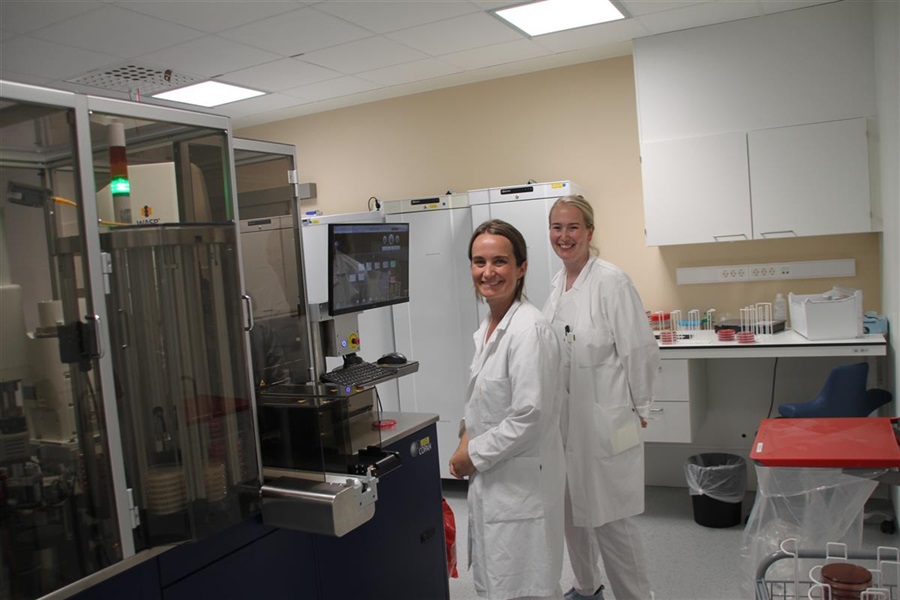 2WASP 2 stk lab_.JPG