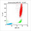 MPO-PE, 100 tests, CE-IVD
