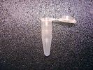 Safe-lock reaction vials 1.5 ml
1000 pieces