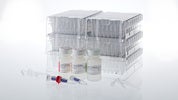 Maxwell CSC Genomic DNA Kit, 48 preps