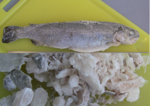 1200x850px-cryo-fish.png