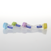 Set of dATP, dCTP, dGTP, dTTP