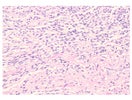 Fargeløsning Shandon Gill 2 hematoxylin 4L