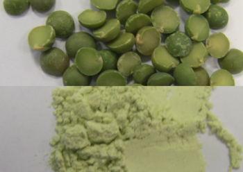1200x850px-peas.png