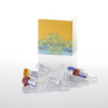 T7 RiboMAX Express Large Scale RNA Production System