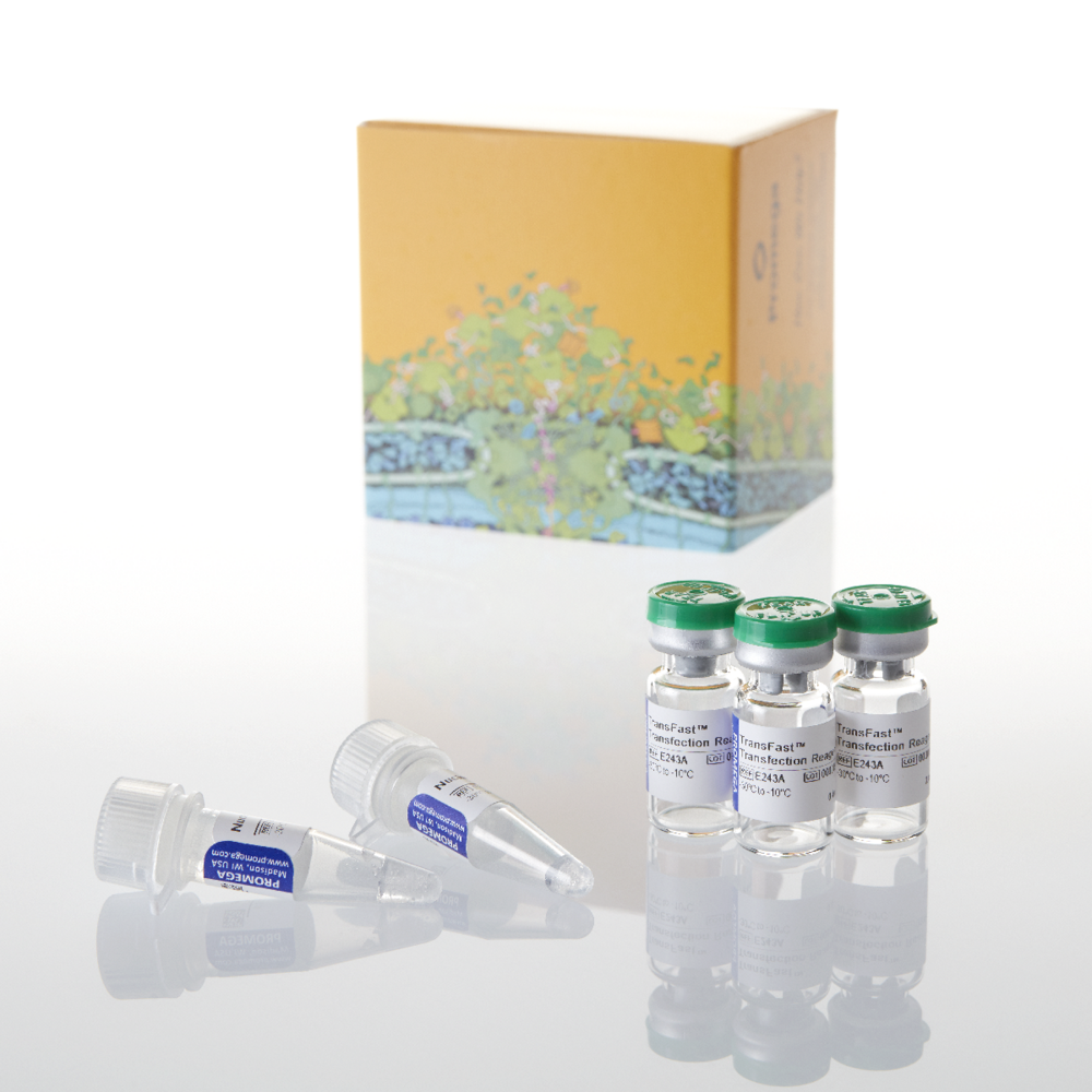 Trans Fast Lab TransFast Transfection Reagent Nerliens Meszansky AS