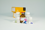 P450-Glo CYP3A4 Screening System with Luciferin-IPA