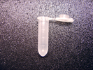 Safe-lock reaction vials 2 ml
1000 pieces