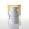 CellTiter-Glo 2.0 Assay