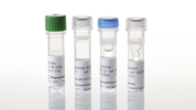 ABL1 Kinase Enzyme System