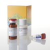 P450-Glo CYP1A2 Assay