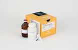 UDP-Glo Glycosyltransferase Assay + UDP-GalNAc