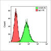 CD105-RPE, 50 tests CE