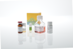 GITR Bioassay