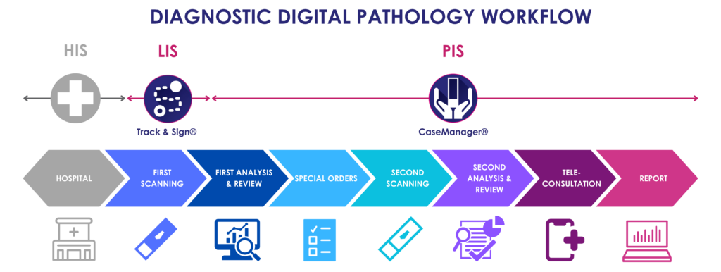 diagnostic-digital-pathology-workflow-1-1-1024x386.png