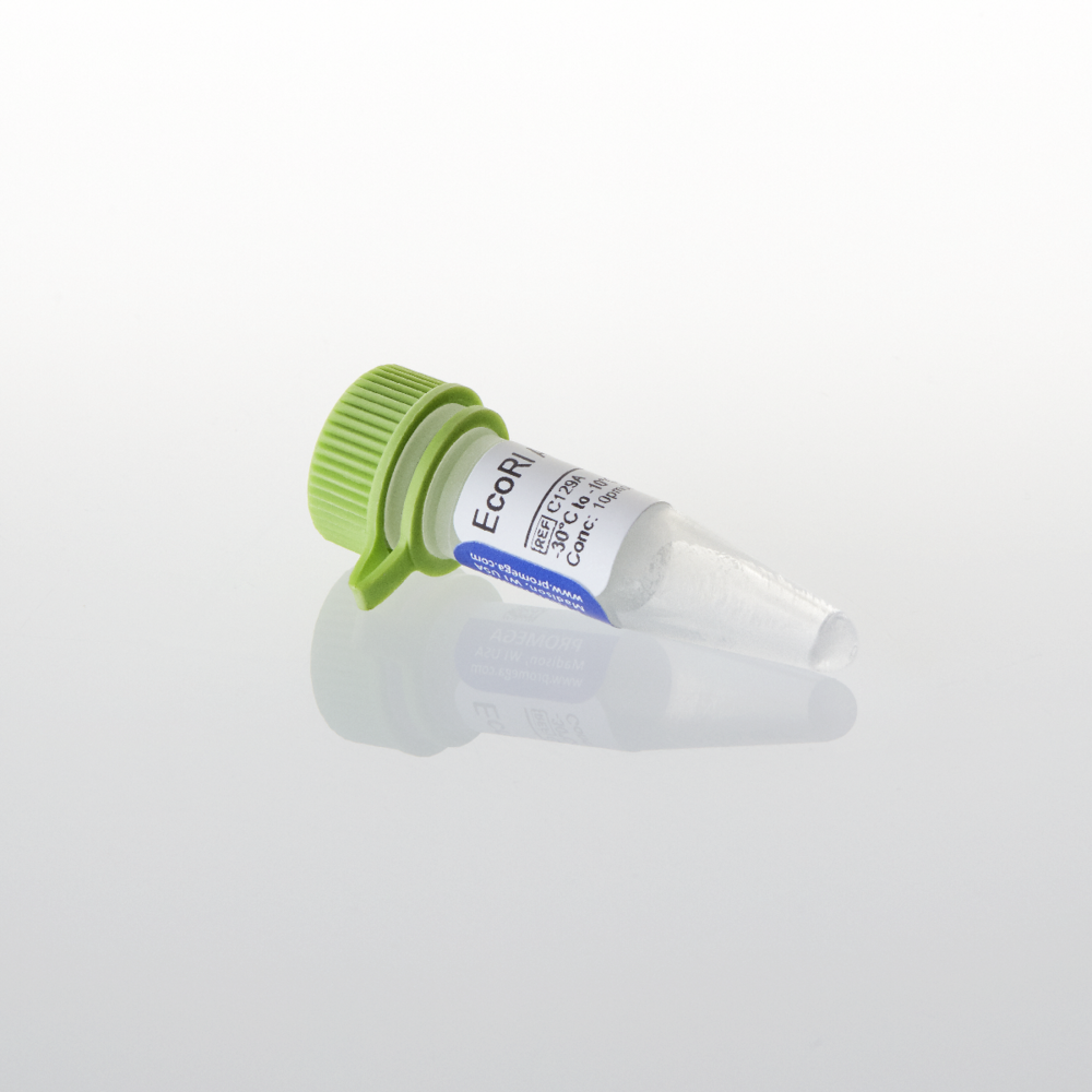 Ecoric EcoRI Adaptors Nerliens Meszansky AS