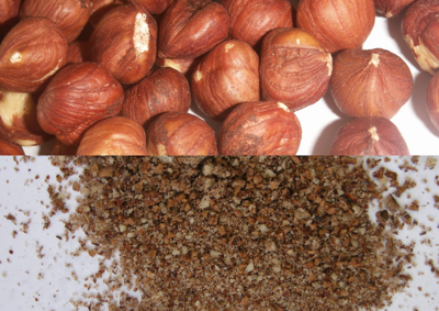 1200x850px-nuts.png
