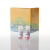 GloResponse CRE-luc2P HEK293 Cell Line