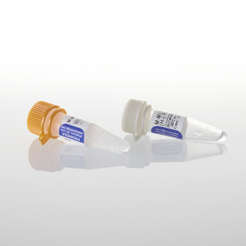 M-MLV Reverse Transcriptase, RNase H Minus, Point Mutant Nerliens ...