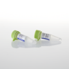 Terminal Deoxynucleotidyl Transferase, Recombinant