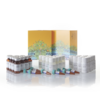Nano-Glo Dual-Luciferase Reporter Assay System