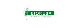 ToRSV Tomato ringspot virus IgG 