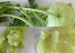 1200x850px-kohlrabi.webp