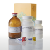 GDP-Glo Glycosyltransferase Assay