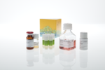 GITR Bioassay 5X